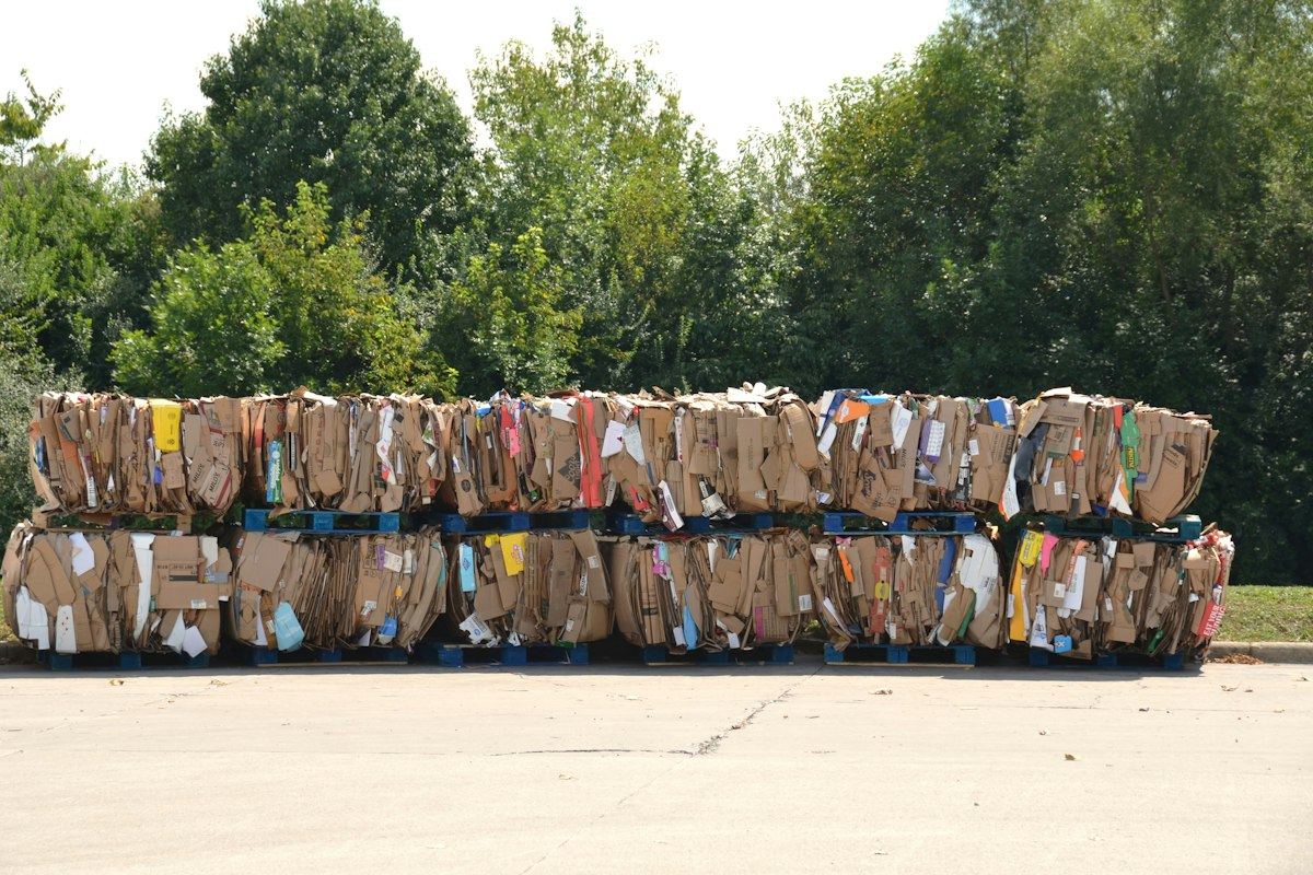 Balles de carton compressé prêtes à l'enlèvement